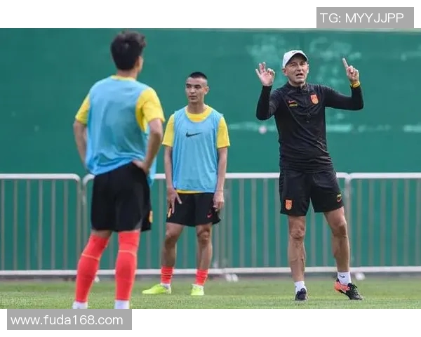 国家队迎战新西兰全力争胜展现团队精神与竞技风采